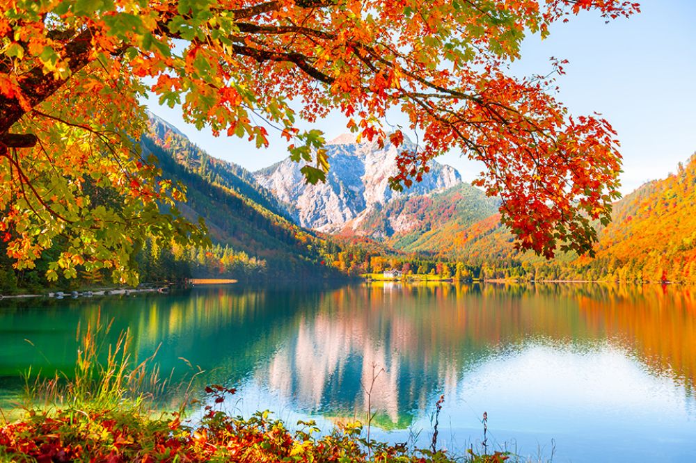 Gelbe Herbstbäume am Ufer eines Sees
