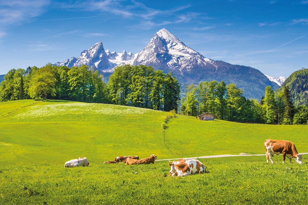 Landschaft in den Alpen